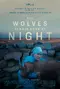 The Wolves Always Come at Night poster thumbnail