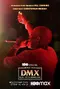 DMX: Don't Try to Understand poster thumbnail