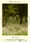 Khmeli potoli poster thumbnail