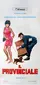 Il provinciale poster thumbnail