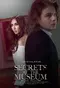 Secrets at the Museum poster thumbnail