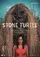 Stone Turtle poster thumbnail