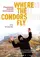 Where the Condors Fly poster thumbnail
