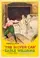 The Silver Car poster thumbnail
