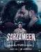 Sarzameen poster thumbnail