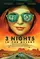3 Nights in the Desert poster thumbnail