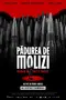 Padurea de molizi poster thumbnail
