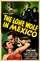 The Lone Wolf in Mexico poster thumbnail