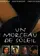 Un morceau de soleil poster thumbnail