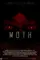 Moth  poster thumbnail