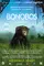 Bonobos poster thumbnail