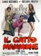Il gatto mammone poster thumbnail