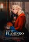 La misteriosa mirada del flamenco poster thumbnail