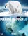Polar Bears: A Summer Odyssey poster thumbnail