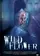 Wildflower poster thumbnail