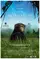 Bonobos: Back to the Wild poster thumbnail