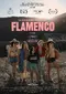 La misteriosa mirada del flamenco poster thumbnail