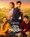 Non è un paese per single poster thumbnail