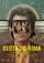 Cesta do Ríma poster thumbnail