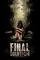 The Final Solution poster thumbnail