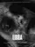 Libra poster thumbnail