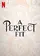 A Perfect Fit poster thumbnail