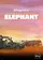 In the Footsteps of Elephant poster thumbnail