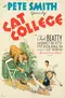Cat College poster thumbnail