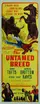 The Untamed Breed poster thumbnail