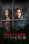 Snatched from the Crib poster thumbnail