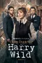 "Harry Wild" poster thumbnail