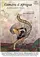 Caméra d'Afrique poster thumbnail