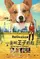A Dog Named Wang Zi poster thumbnail