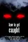 How to Get Caught poster thumbnail