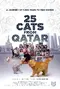 25 Cats from Qatar poster thumbnail