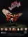 Dreams of the Last Butterflies poster thumbnail