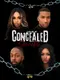Concealed Secrets poster thumbnail