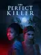 The Perfect Killer poster thumbnail