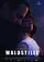 Waldstille poster thumbnail