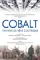 Cobalt, l'envers du rêve électrique poster thumbnail