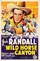 Wild Horse Canyon poster thumbnail