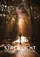 Sided Light (Streiflicht) poster thumbnail