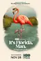 "It's Florida, Man" poster thumbnail