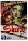 Sheroo poster thumbnail