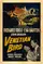 Venetian Bird poster thumbnail