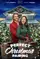 A Perfect Christmas Pairing poster thumbnail