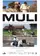 Muli poster thumbnail