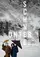 Unter Schnee poster thumbnail