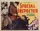 Special Inspector poster thumbnail