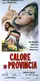 Calore in provincia poster thumbnail